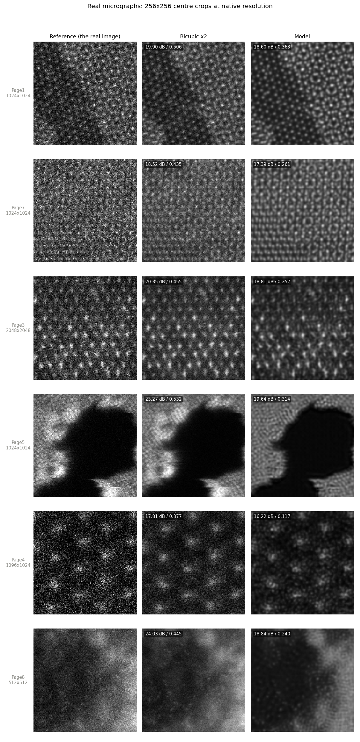 Grid of 256 by 256 centre crops from the real micrographs, each shown as reference, bicubic and model output.